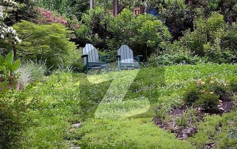 80 x 120 Prime Location Plot is for SALE