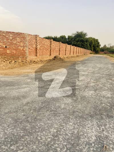 بیدیاں روڈ لاہور میں 80 کنال زرعی زمین 1.3 کروڑ میں برائے فروخت۔