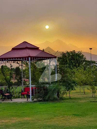 Sector 4D Plot | Near to Double Rd | Well developed area