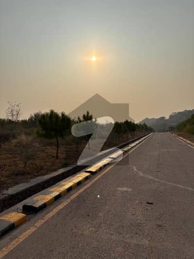 Possession Farm Good View | Sector "C"