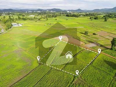 10 Mrla plot for sale 10 Mrla plot for sale