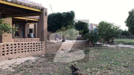 4 Acre Farmhouse Land for Sale Jehaman, Bedian Road