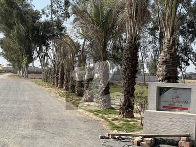 گورنمنٹ آفیسرز کوآپریٹیو ہاؤسنگ سوسائٹی لاہور میں 1 کنال رہائشی پلاٹ 43.0 لاکھ میں برائے فروخت۔