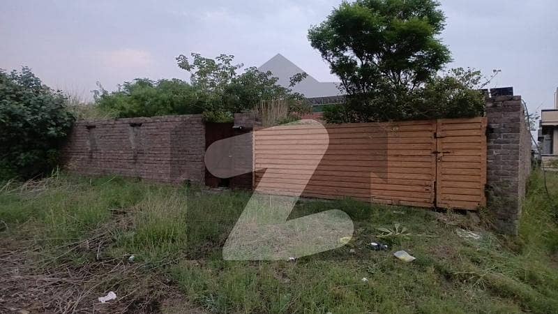 Doctor town plot for for Doctor town plot for for