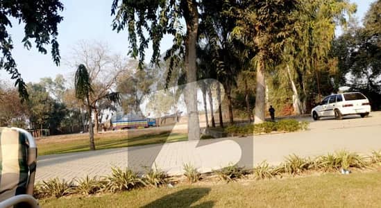 4 Kanal Farmhouse Land Main Bedian Road For Sale | Ideal Location Bedian Road Lahore | Prime Investment