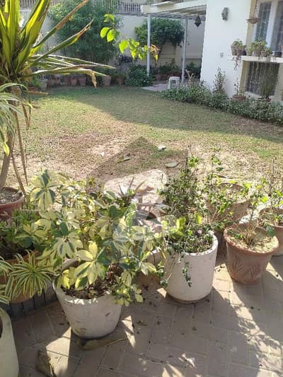 600 YARDS BUNGALOW AVAILABLE FOR SALE