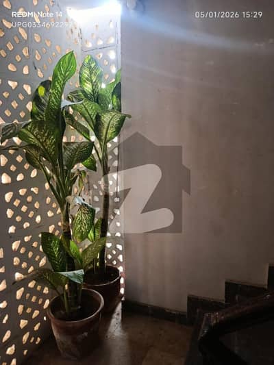 بہادر آباد گلشنِ اقبال ٹاؤن,کراچی میں 3 کمروں کا 6 مرلہ فلیٹ 1.5 کروڑ میں برائے فروخت۔