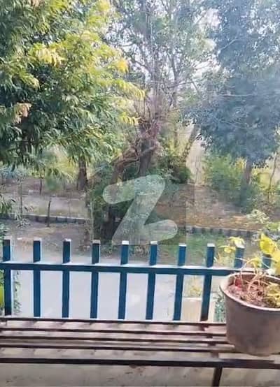 جی ۔ 8/2 جی ۔ 8,اسلام آباد میں 5 کمروں کا 5 مرلہ مکان 6.5 کروڑ میں برائے فروخت۔