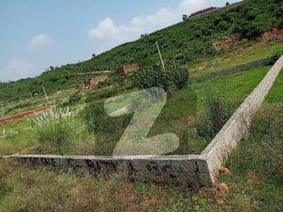 5 Marla Residential Plot Shaheen Town Phase 4 Islamabad | Direct Owner