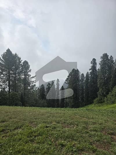 1 Kanal Corner Plot for Sale | Sector F | DHA Phase 1 Islamabad