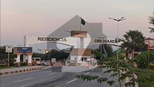 7 Marla Plot for Sale in Multi Residencia and Orchards ROS