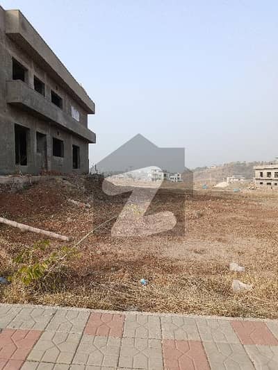 1 Kanal Plot Best For Investment &Amp; Living