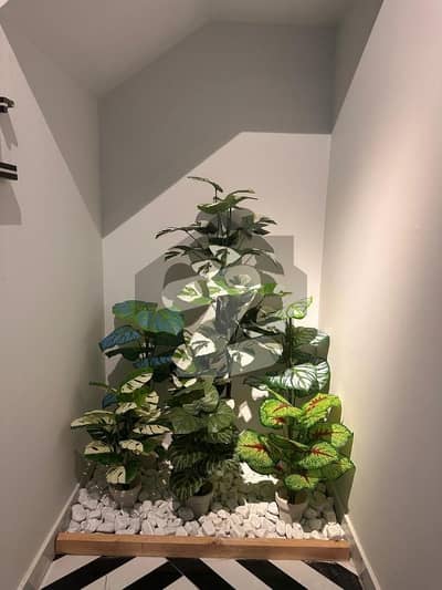 بحریہ ٹاؤن رفیع بلاک بحریہ ٹاؤن سیکٹر ای,بحریہ ٹاؤن,لاہور میں 5 کمروں کا 10 مرلہ مکان 5.45 کروڑ میں برائے فروخت۔