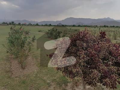 24 Marla Corner Plot Available For Sale In Zone 3