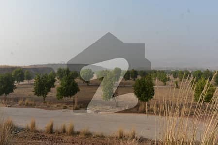 ڈی ایچ اے ویلی - روز سیکٹر ڈی ایچ اے ویلی,ڈی ایچ اے ڈیفینس,اسلام آباد میں 8 مرلہ رہائشی پلاٹ 54.0 لاکھ میں برائے فروخت۔