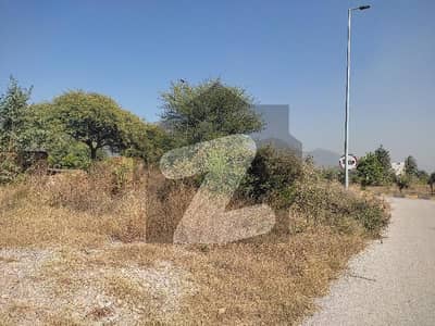 5 Marla Plot For Sale In D 12/1