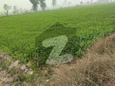 8 Kanal Agricultural Land In Bedian Road For Sale