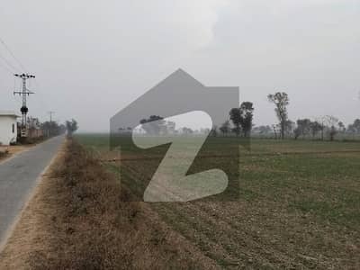 Own A Agricultural Land In 32 Kanal Bedian Road