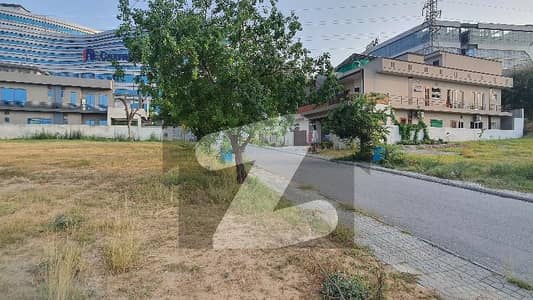 1Kanal Plot Ideal Location of DHA-2