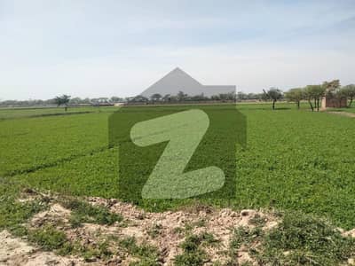 بیدیاں روڈ لاہور میں 16 کنال زرعی زمین 4.0 کروڑ میں برائے فروخت۔