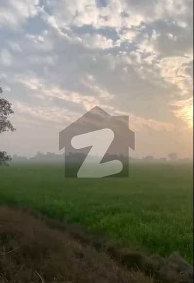 ڈسکہ روڈ سیالکوٹ میں 256 کنال زرعی زمین 38.0 کروڑ میں برائے فروخت۔