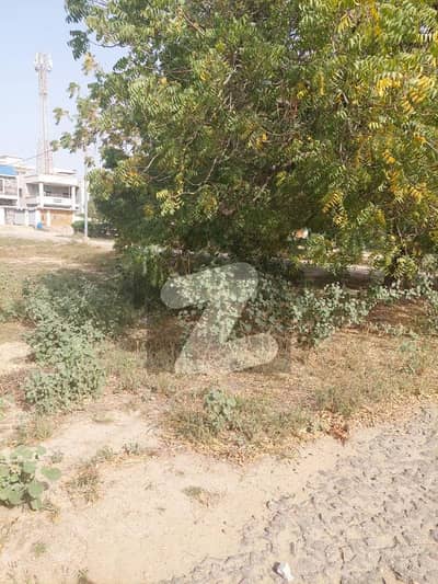 گلشنِ معمار - سیکٹر ڈبلیو گلشنِ معمار,گداپ ٹاؤن,کراچی میں 1 کنال رہائشی پلاٹ 4.0 کروڑ میں برائے فروخت۔