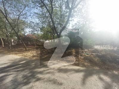 گلشنِ معمار - سیکٹر زیڈ گلشنِ معمار,گداپ ٹاؤن,کراچی میں 1 کنال رہائشی پلاٹ 5.5 کروڑ میں برائے فروخت۔