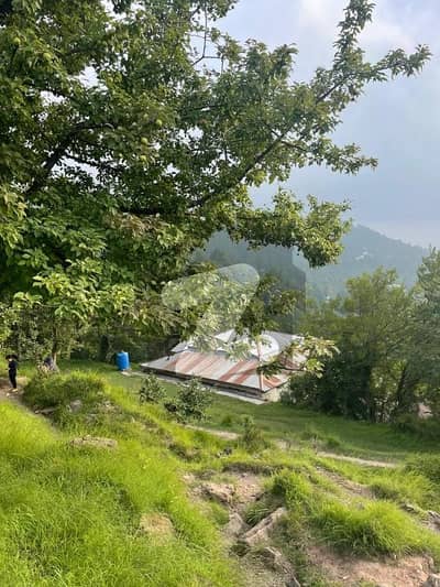 Murree Beautiful View Plot
