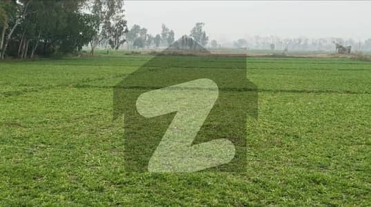 50 Acers Agriculture Land Situated On Ferozepur Road (2 Crore Per Acer) Near To Commercial Area Available For Sale