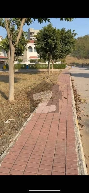 Investor Rate Kanal Plot Overseas Sector 5