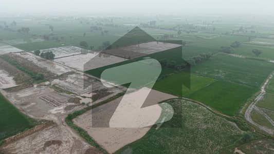 کینال ایکسپریس فیصل آباد میں 9 کنال زرعی زمین 4.5 کروڑ میں برائے فروخت۔