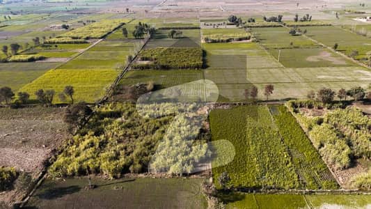 کھڑیانوالہ فیصل آباد میں 20 کنال زرعی زمین 4.0 کروڑ میں برائے فروخت۔