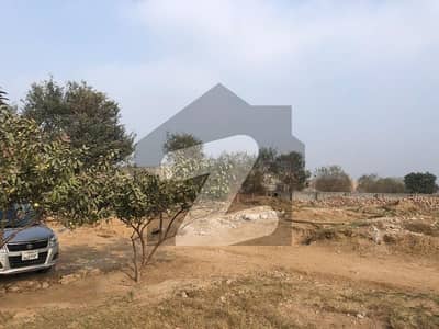 مریدکے ۔ شیخوپورہ روڈ مُرِيدكے میں 12 کنال زرعی زمین 4.25 کروڑ میں برائے فروخت۔