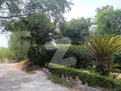 G 10 house available 35*70 front open near markaz