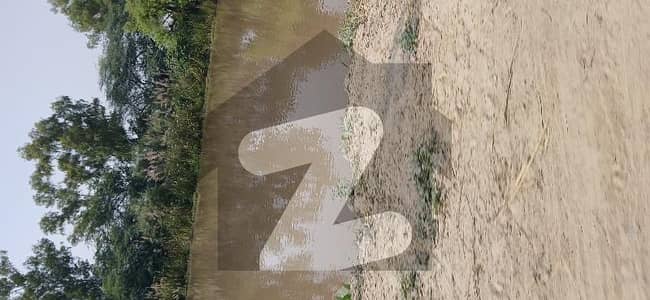 ڈی ایچ اے فیز 7 - بلاک وائے فیز 7,ڈیفنس (ڈی ایچ اے),لاہور میں 14 کنال زرعی زمین 6.9 کروڑ میں برائے فروخت۔