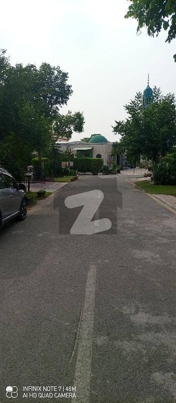 ON GROUND CONSTRUCTABLE PLOT FOR SALE