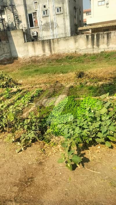 T &T Society Green Acar plot for Sale