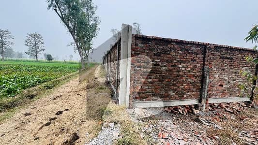 6 KANAL FARM HOUSE PLOT CARPET ROAD PRIME LOCATION MOZA JAMAN