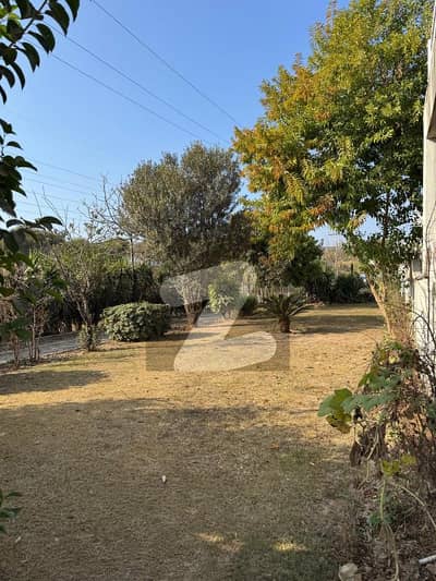 Highly-Desirable House Available In G-11 For Rent