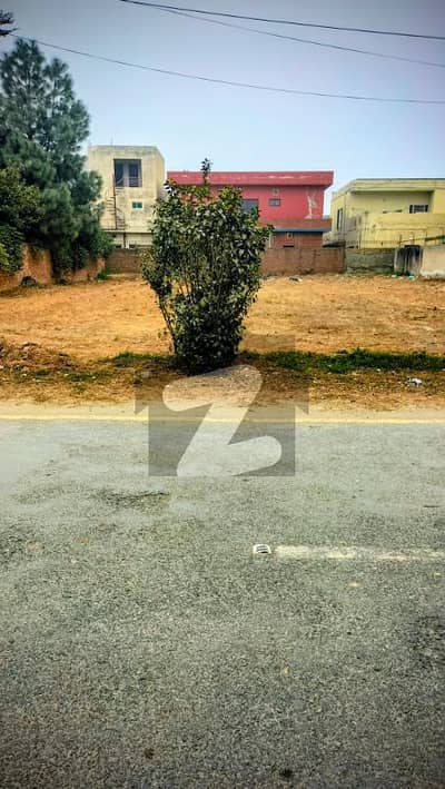 1 Kanal Plot for Sale