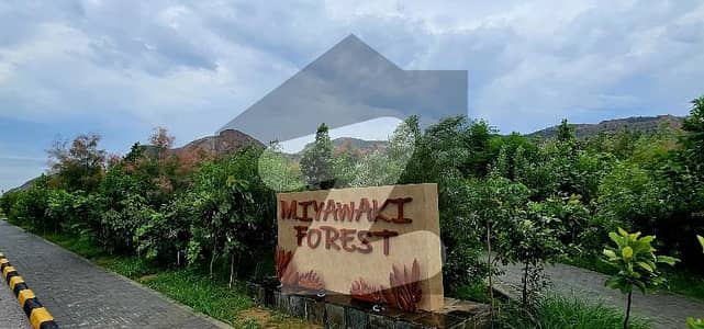 Faisal Hills A Bloy 10 Marla Solid Plot For Sale