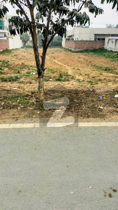 10 Marla Plot For Sale