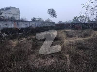 2 kanal Plot on Main bhaini road best for investment