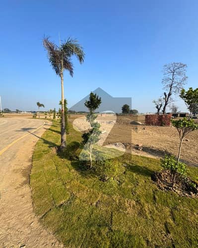 Lahore Organic Farms Society Located on Main Barki Road.