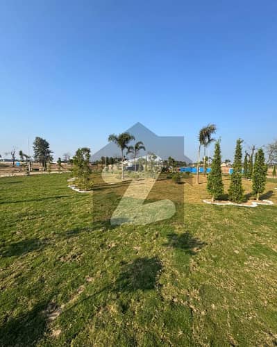 Lahore Organic Farms Society Prime Location On Main Barki Road