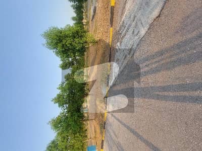 DHA Phase 7 Sector Daffodil 8 Marla Balloted Plot with Possession For Sale