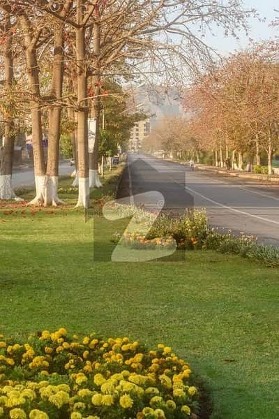 1 Kanal South Green Belt Plot For Sale