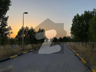 5 Marla plot in overseas block DHA phase 7