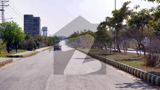 10 Marla Plot For Sell In AWT