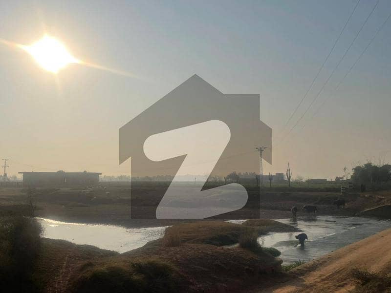 Farm House For Sale Farm House For Sale